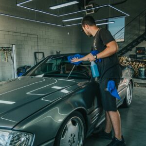 Interior Multi-Surface Detailer