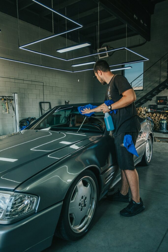 Interior Multi-Surface Detailer